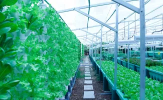 a5g8-fairmont-singapore-farm-975x600.png