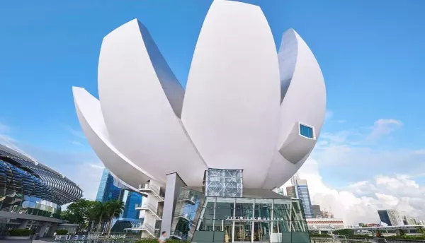 MBS 4.jpg