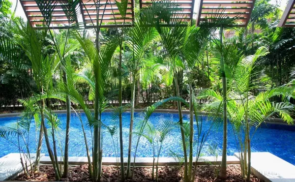 deluxe-garden-suite--v5950472.jpg