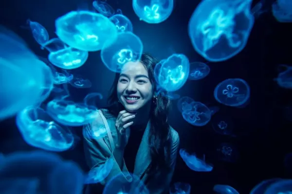 sea aquarium.jpg