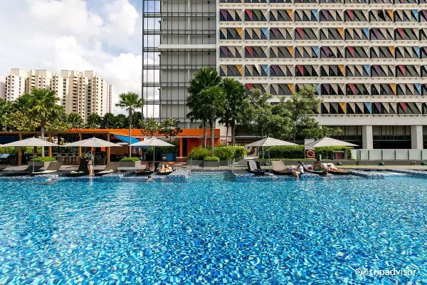 pool--v14186594.jpg