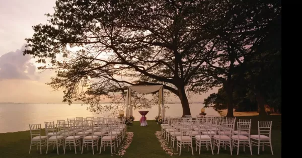 wedding.jpg