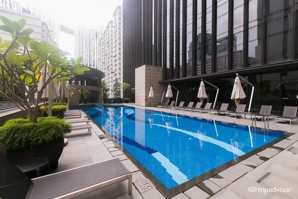 pool--v11015407.jpg