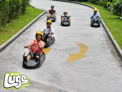 this-is-how-skyline-luge.jpg