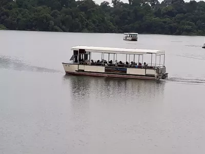 boar-cruise.jpg