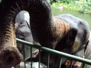 up-close-feeding-the.jpg
