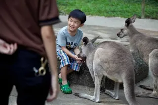 caption (9).jpg