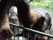 up-close-feeding-the.jpg