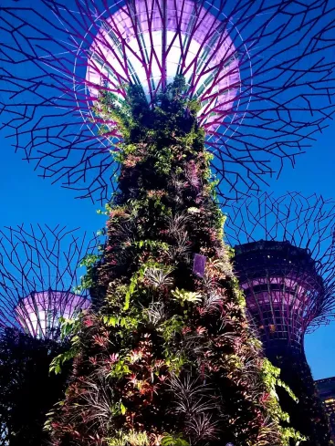 astounding-display-gardens.jpg