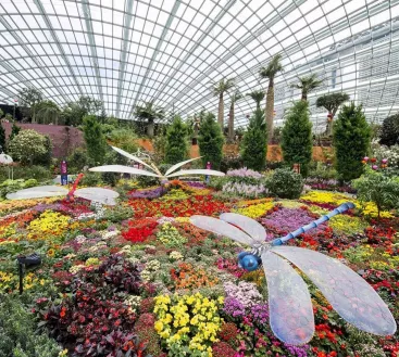gardens-by-the-bay (1).jpg