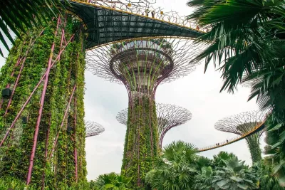 gardens-by-the-bay-singapore.jpg