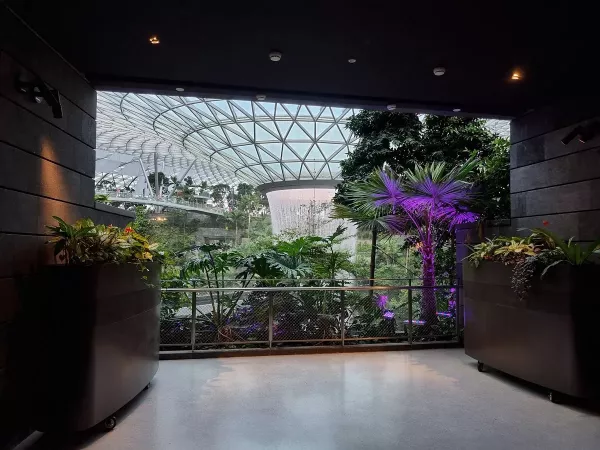 changi-experience-studio.jpg
