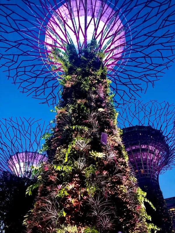astounding-display-gardens.jpg
