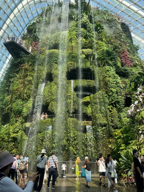 caption (3).jpg