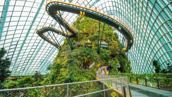 cloud-forest-01.jpg