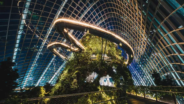 cloud-forest-night-main.jpg
