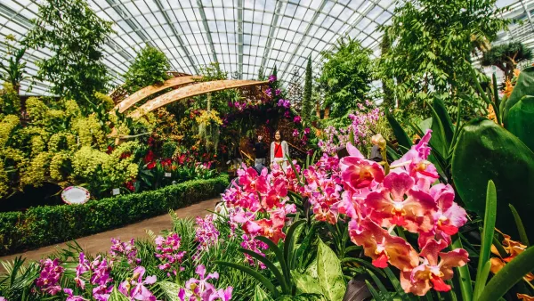 flower-dome-01.jpg