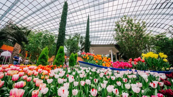 flower-dome-02.jpg