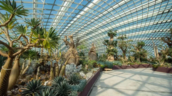 flower-dome-05.jpg