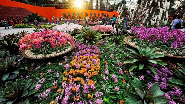 flower-dome-main.jpg