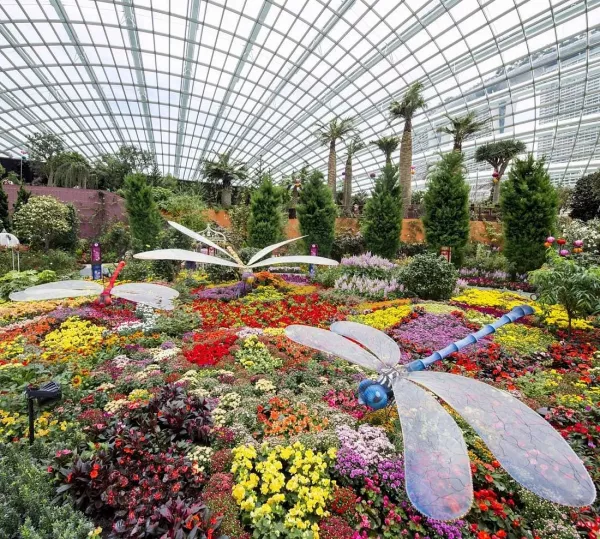 gardens-by-the-bay (1).jpg