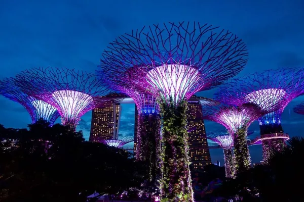 gardens-by-the-bay-light.jpg