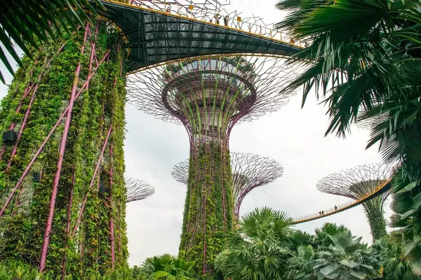 gardens-by-the-bay-singapore.jpg