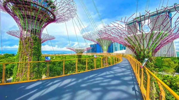 ocbc-skyway-main.jpg