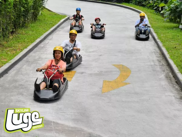 this-is-how-skyline-luge.jpg
