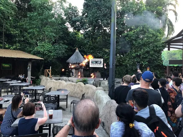 dance-and-fire-show.jpg