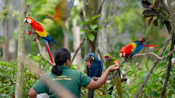 bird-paradise-singapore-internal-1.jpg.webp