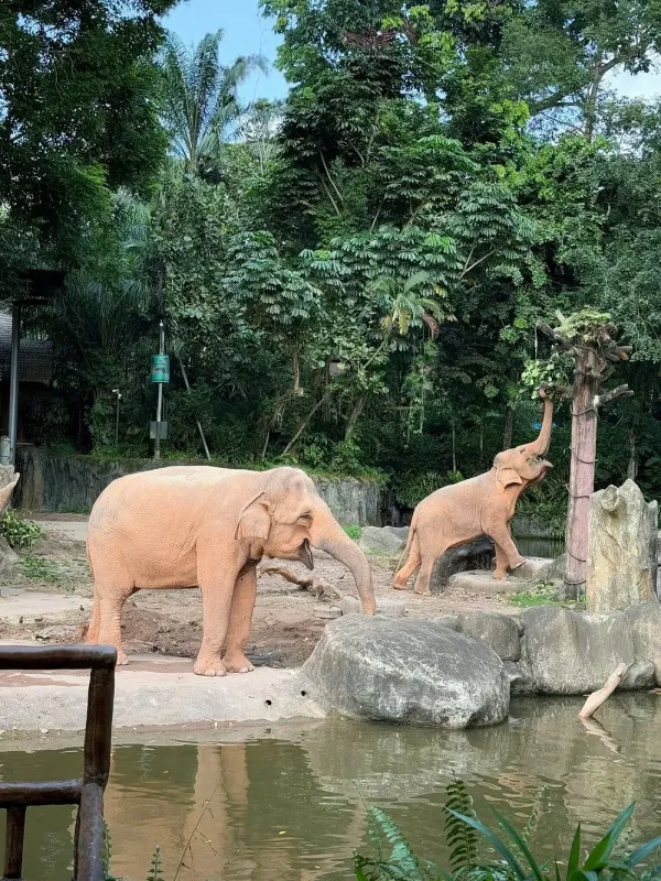 caption (10).jpg