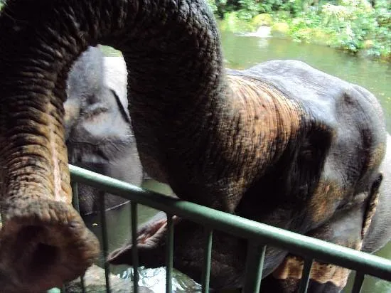 up-close-feeding-the.jpg