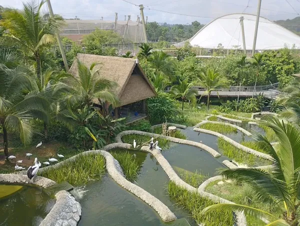 bird-paradise.jpg