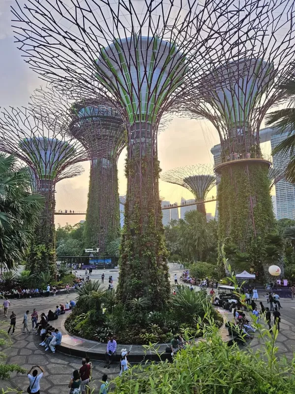 caption (14).jpg